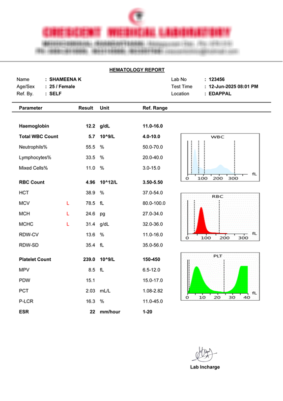 Custom Reports